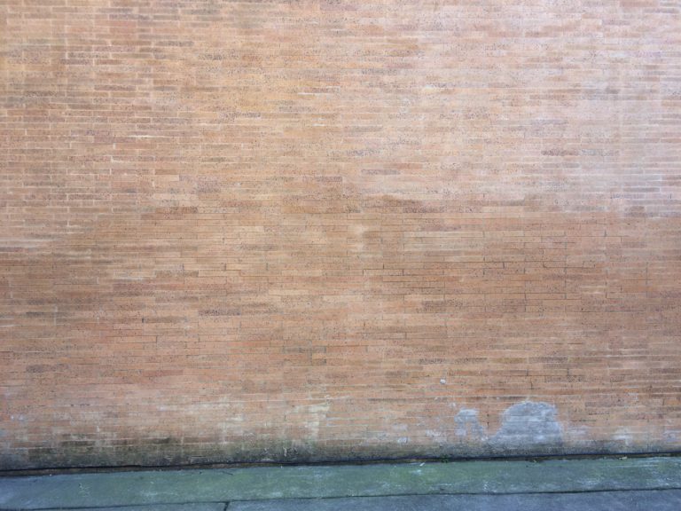 4849 South Ellis Ave, Chicago IL 2